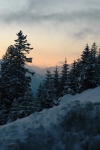Landschaft Winter (153).JPG